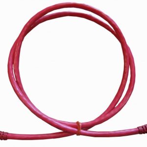Latiguillo Optilan® UTP Cat.6 1M rojo